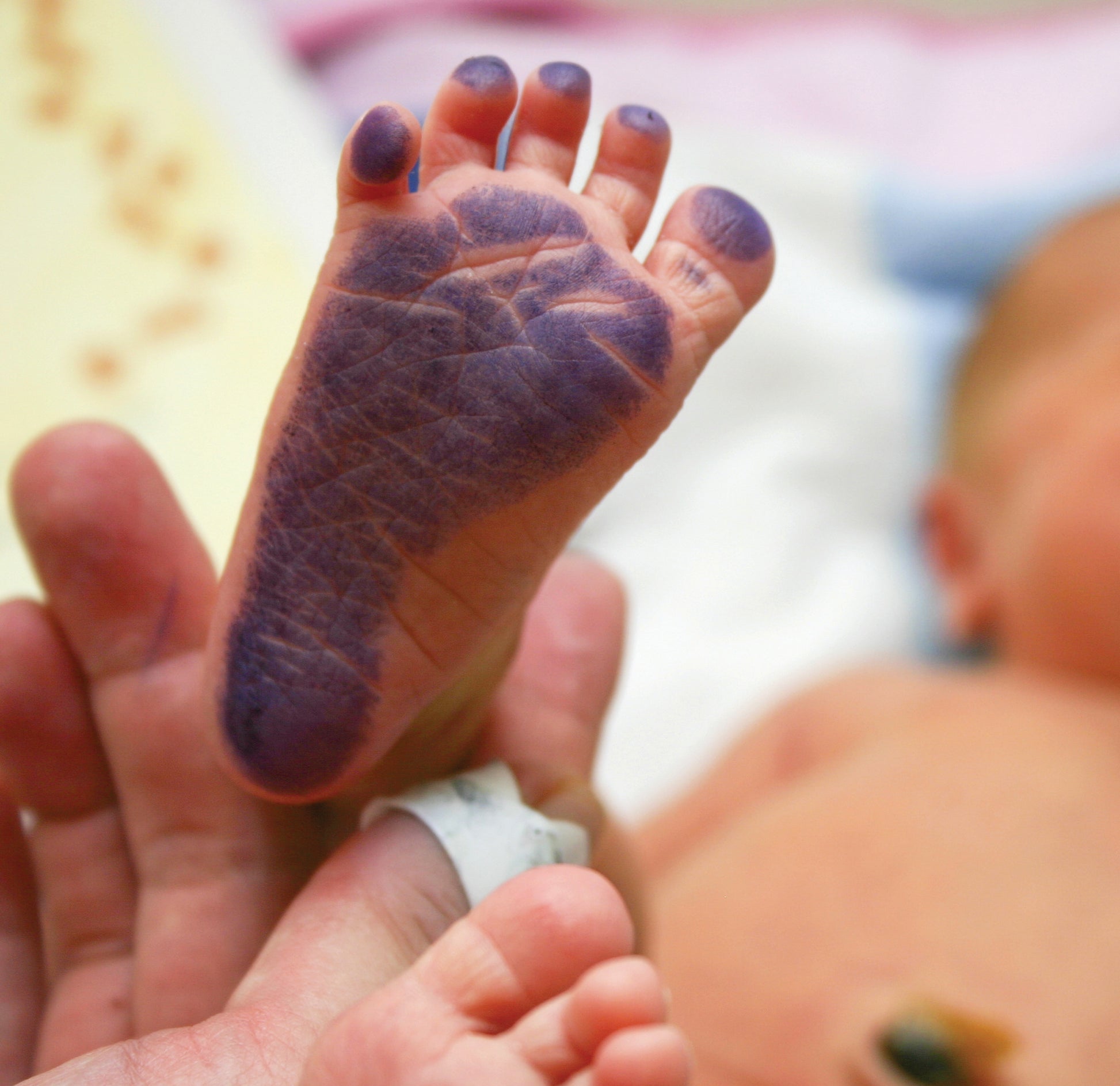 Personalized Footprint Kit - Hedgehog - Nattljus